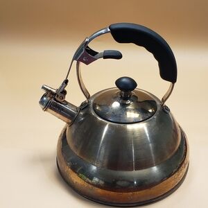 Elegant Stainless Steel Kettle with Black Handle